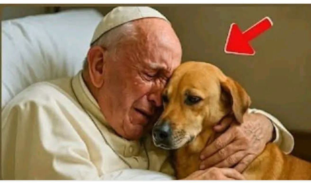 Pope Francis asked to say goodbye to his dog seconds before d… See more